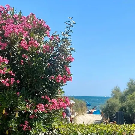 Appartement Bord De Mer: Soleil, Et Grande Terrasse Pour Instants De Detente
