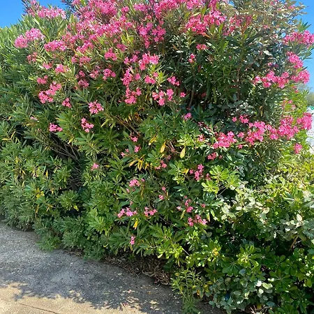 Bord De Mer: Soleil, Et Grande Terrasse Pour Instants De Detente Apartment *