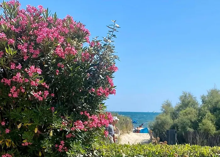 아파트 Bord De Mer: Soleil, Et Grande Terrasse Pour Instants De Detente