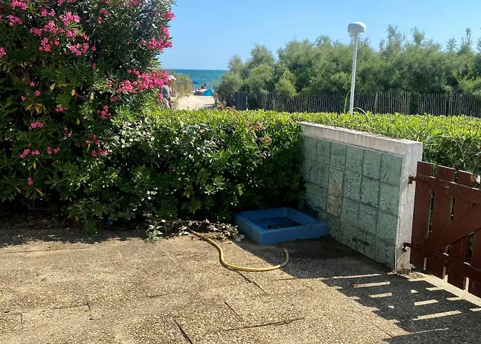 Bord De Mer: Soleil, Et Grande Terrasse Pour Instants De Detente 아파트 라그랑모트